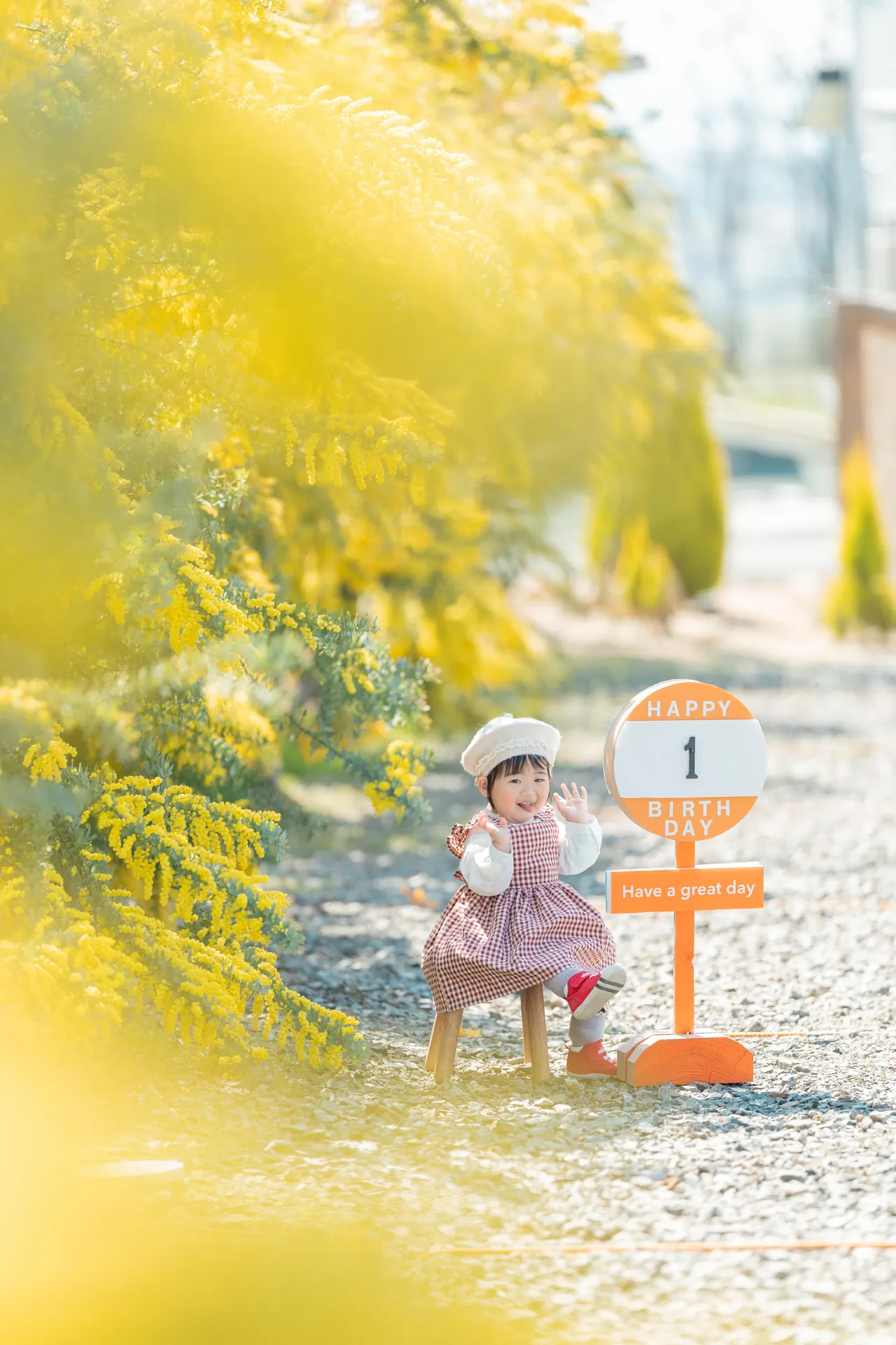 ミモザの花の下で、「1」の看板のそばに座る子どもの写真