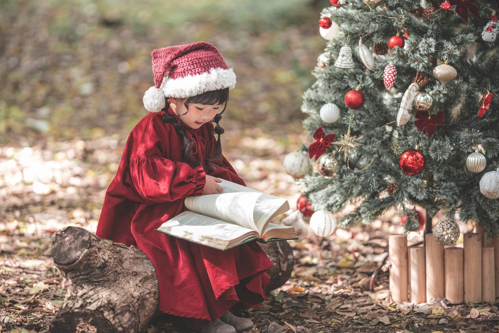 クリスマスツリーのそばで、サンタの帽子の女の子が絵本を読んでいる写真
