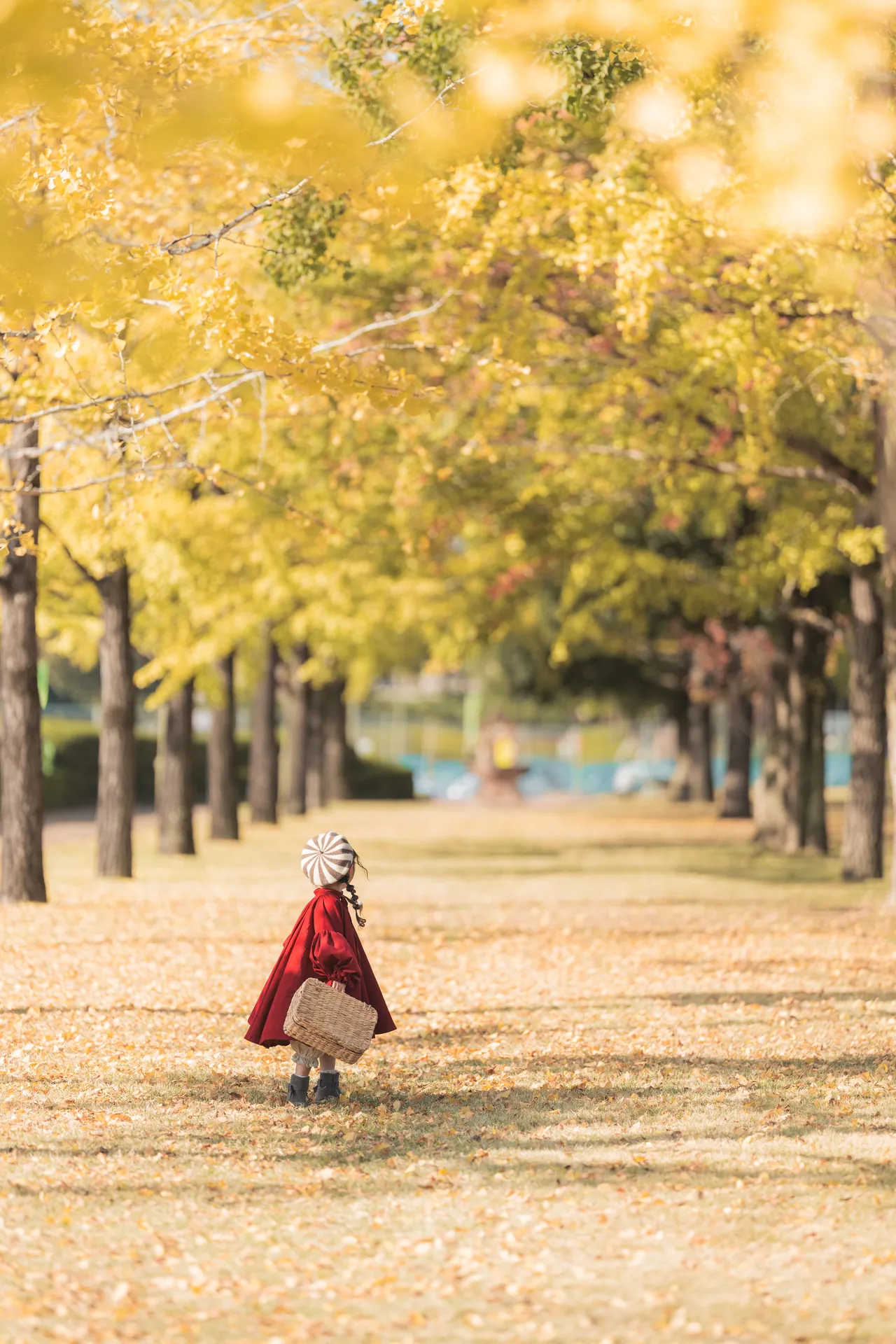 いちょう並木の道に立つ、赤いケープの女の子の写真